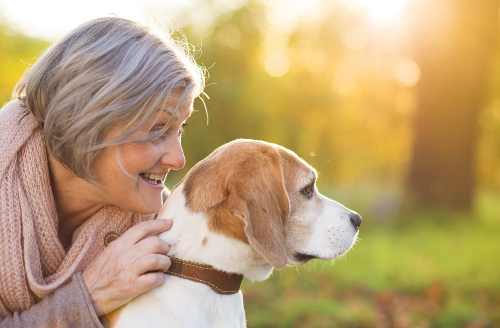 A senior is at a park with their dog, leaning down to talk to their pet with a smile.