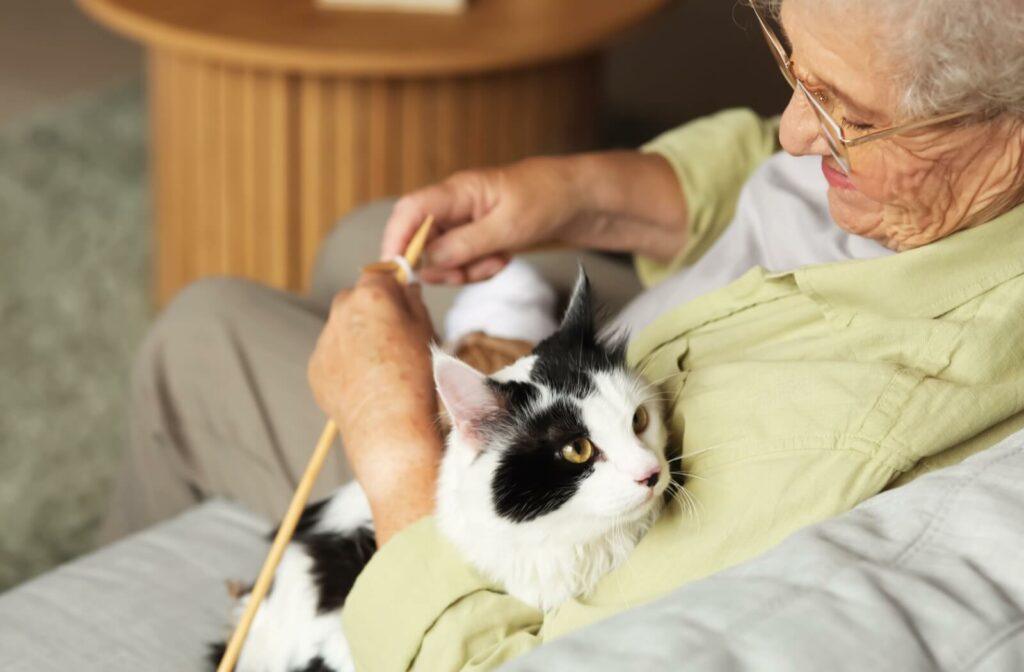 Someone is knitting, their cat nestled in beside the yarn.