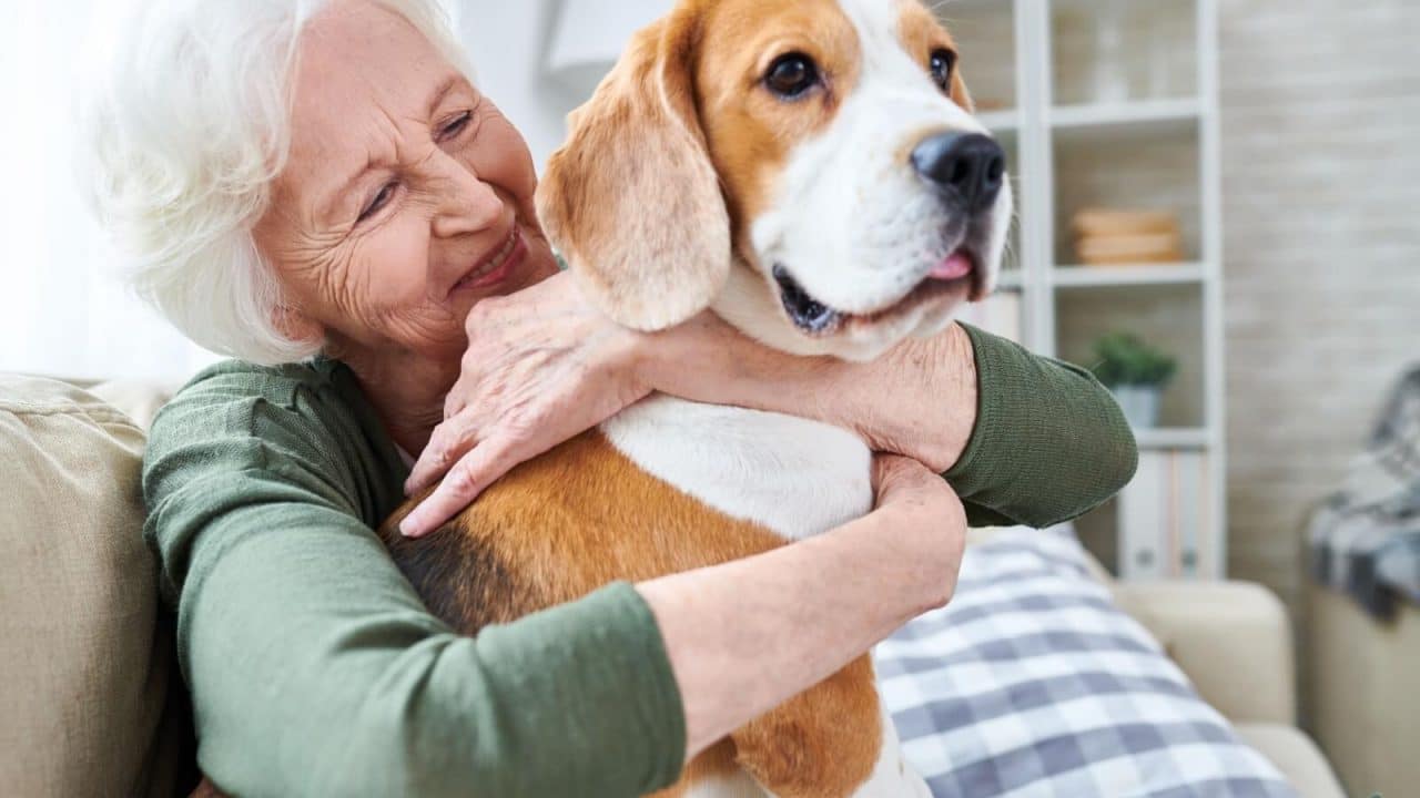 are pets allowed in assisted living communities hero