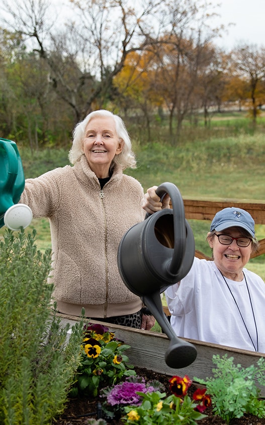 teresas house mckinney assistedliving